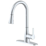 Flow Classic Polished Chrome Pull Down Kitchen Faucet