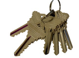 A set of metallic keys fanned out on a split key ring against a plain white background.